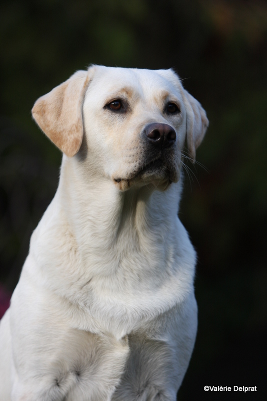 Field Erstein 09 (115).JPG